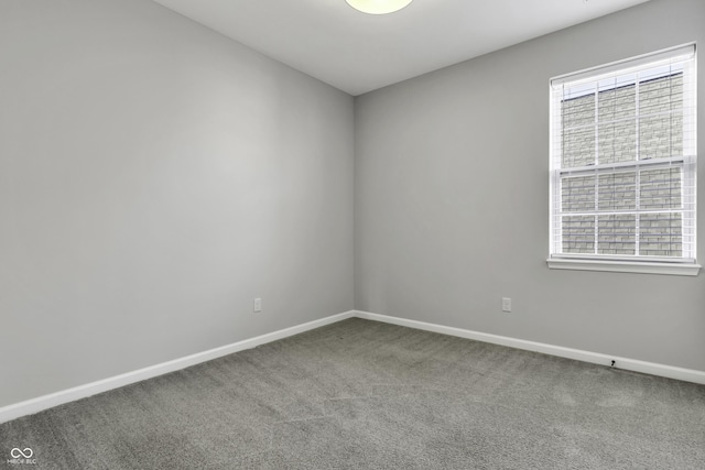 spare room featuring baseboards, plenty of natural light, and carpet