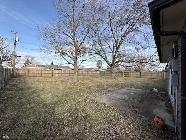 view of yard featuring a patio area and a fenced backyard