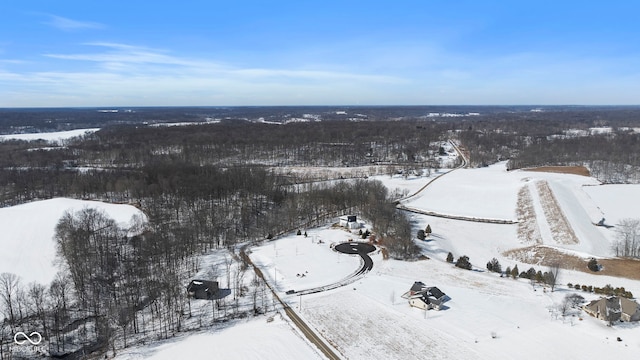 view of snowy aerial view