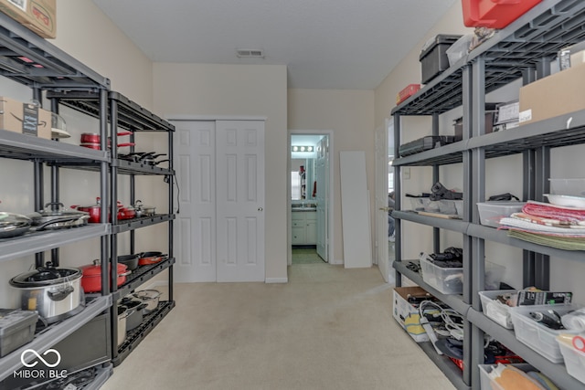 387 Legacy Blvd, Greenwood, IN 46143 - view of storage area