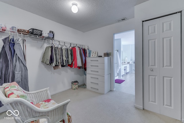 387 Legacy Blvd, Greenwood, IN 46143 - spacious closet with carpet