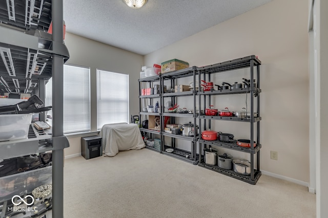 387 Legacy Blvd, Greenwood, IN 46143 - view of storage