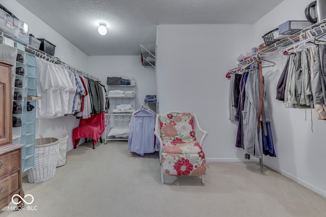 387 Legacy Blvd, Greenwood, IN 46143 - spacious closet with carpet floors