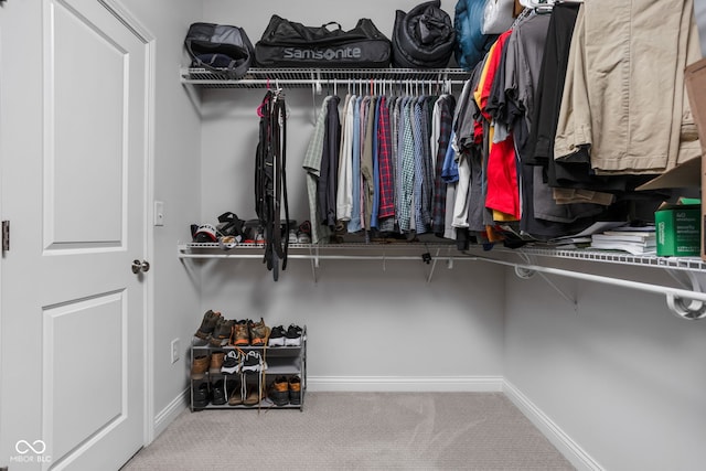 walk in closet featuring carpet flooring