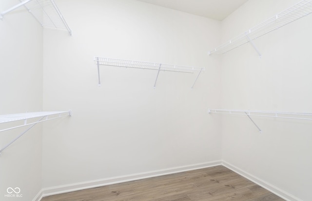 spacious closet featuring wood finished floors