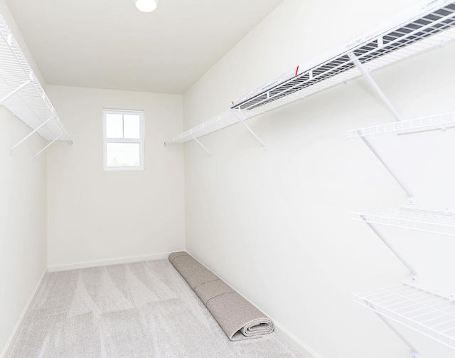 spacious closet with carpet