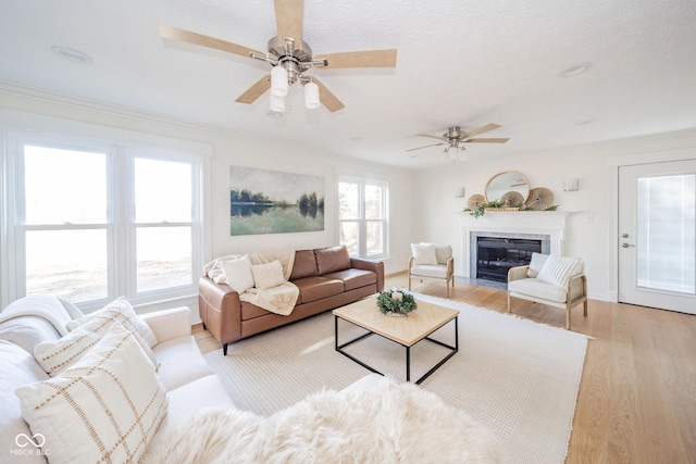 living room featuring baseboards, a fireplace with flush hearth, a textured ceiling, crown molding, and light wood-type flooring