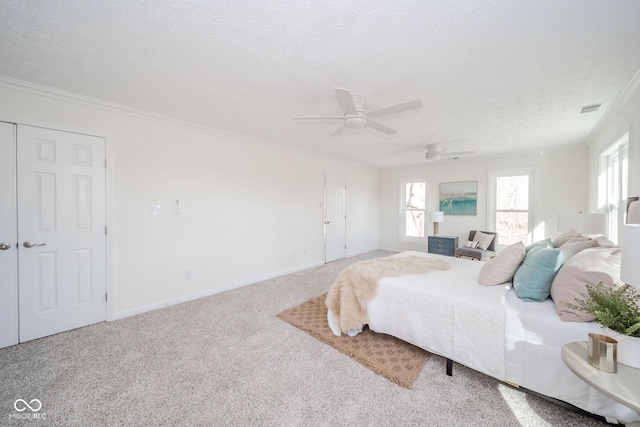 bedroom featuring carpet, multiple windows, crown molding, and a textured ceiling