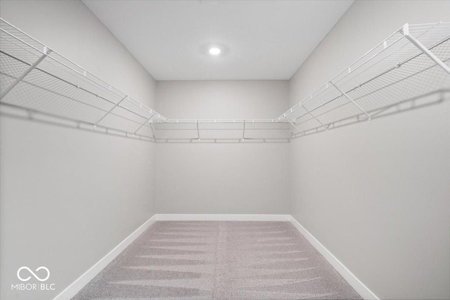 walk in closet with carpet