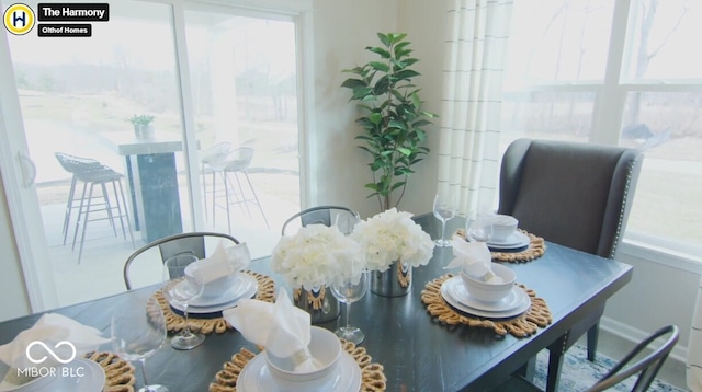 dining room featuring a wealth of natural light