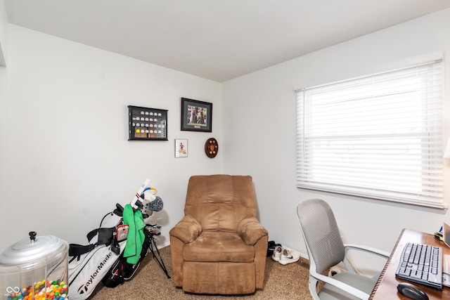 view of carpeted office