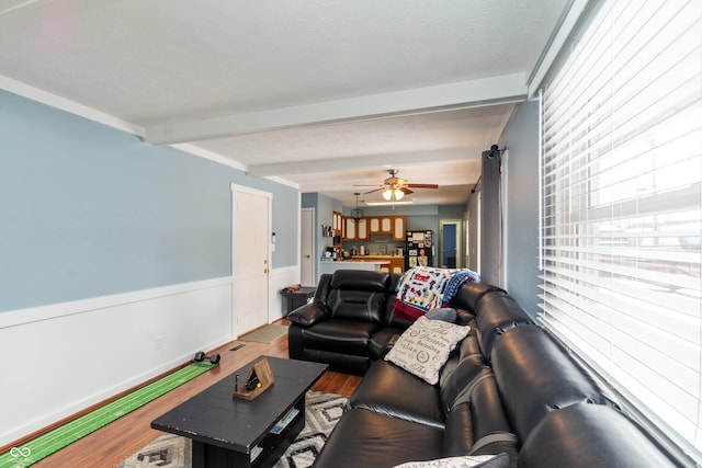 living area with a textured ceiling, a wainscoted wall, wood finished floors, a ceiling fan, and beam ceiling