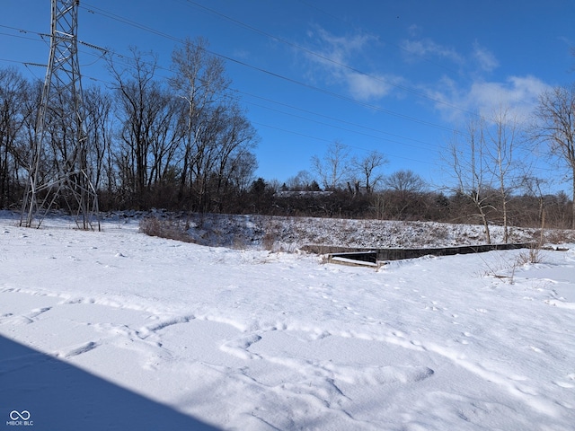 view of snowy yard