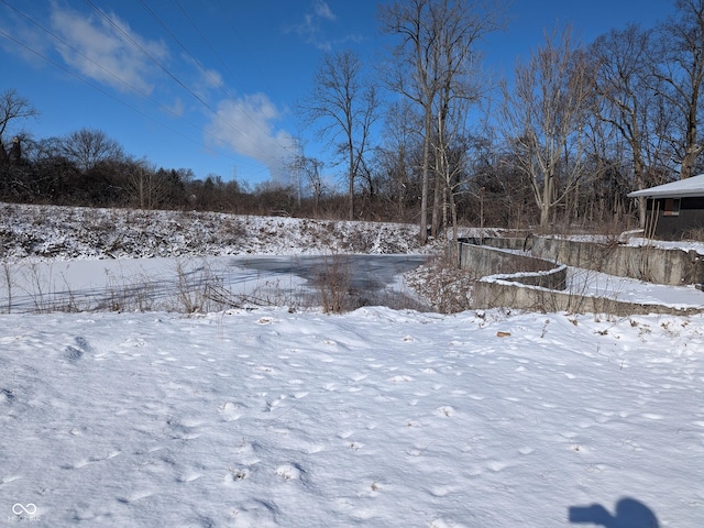 view of snowy yard