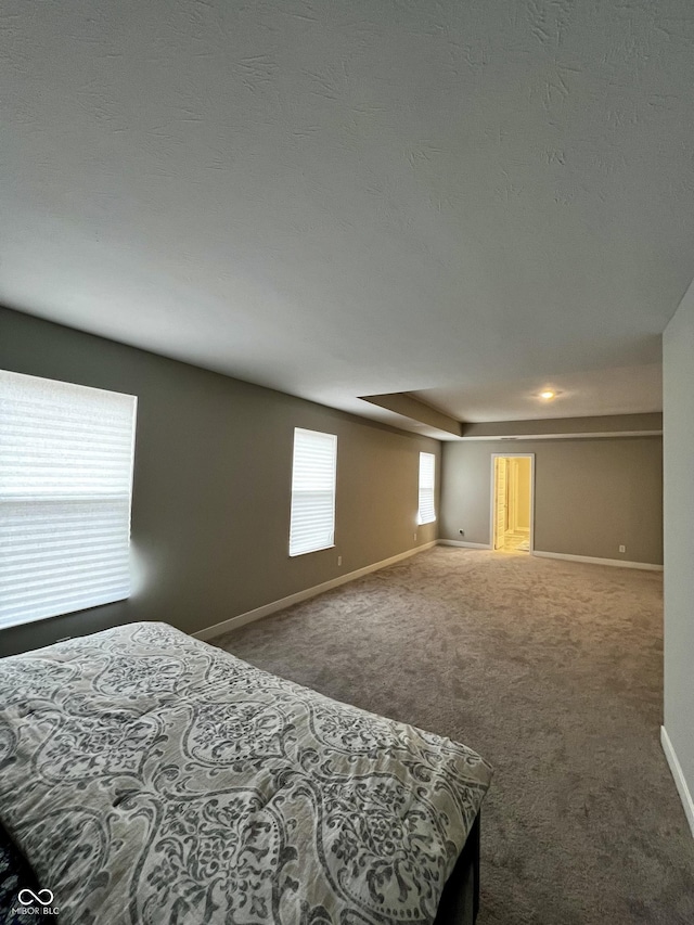 bedroom featuring carpet flooring, a textured ceiling, and baseboards