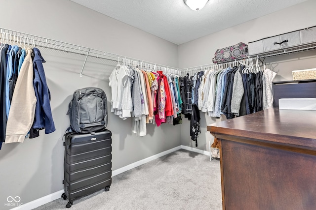 walk in closet featuring carpet floors