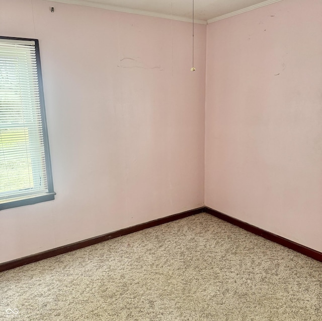 carpeted spare room featuring crown molding and baseboards