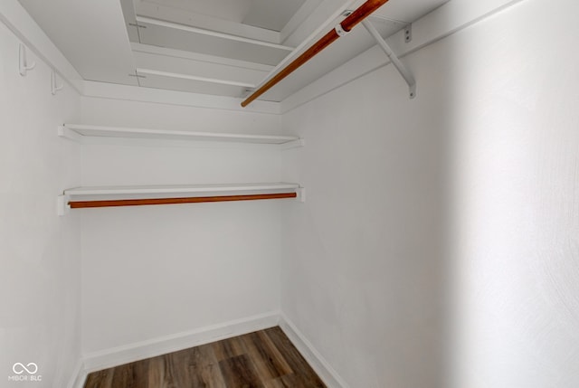 walk in closet featuring dark wood-style flooring