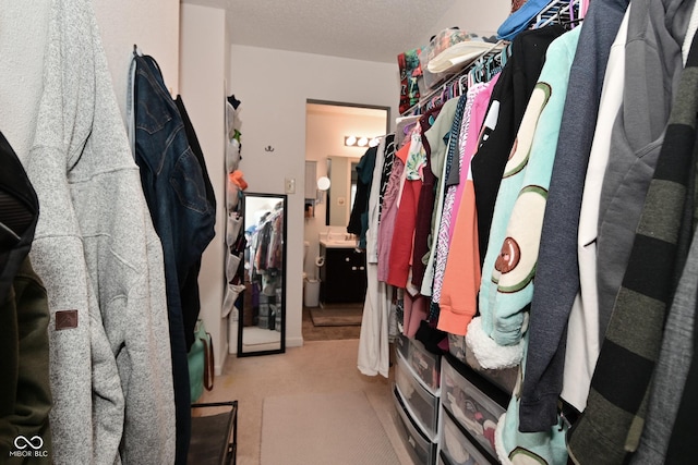 spacious closet featuring carpet