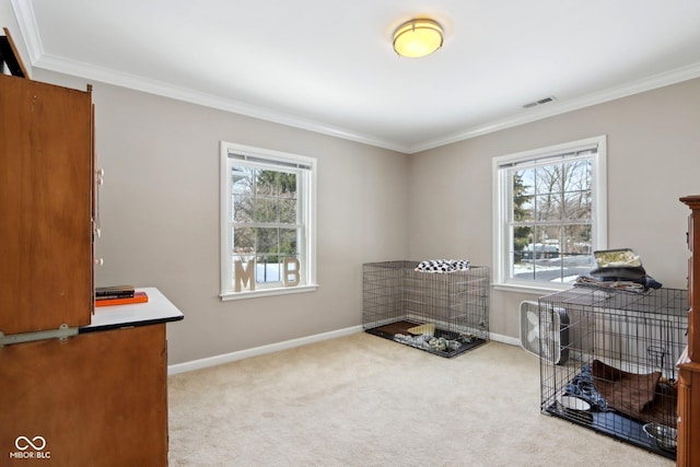 misc room featuring carpet floors, visible vents, plenty of natural light, and baseboards