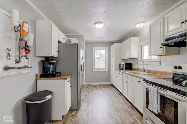 kitchen with under cabinet range hood, a sink, white cabinetry, light countertops, and appliances with stainless steel finishes