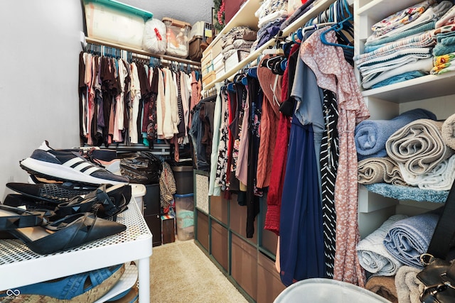 walk in closet with carpet floors