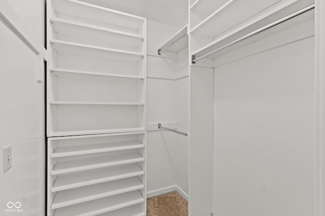 walk in closet with carpet
