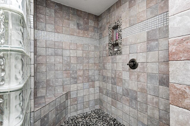 690 N 600 W, Lebanon, IN 46052 - bathroom with tiled shower