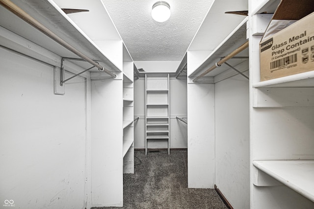 690 N 600 W, Lebanon, IN 46052 - walk in closet featuring dark carpet