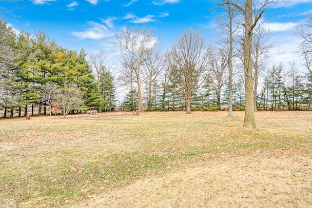 690 N 600 W, Lebanon, IN 46052 - view of yard