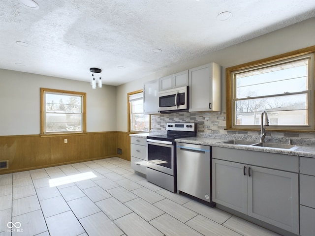 kitchen with wainscoting, appliances with stainless steel finishes, a sink, and gray cabinetry