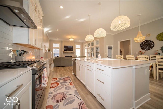 kitchen featuring stainless steel appliances, ornamental molding, a sink, and under cabinet range hood