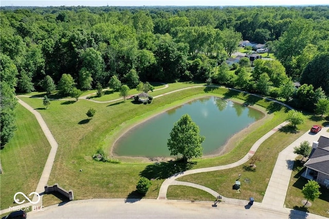 1148 Easy St Unit A, Greenwood, IN 46142 - aerial view of a forest and a nearby body of water