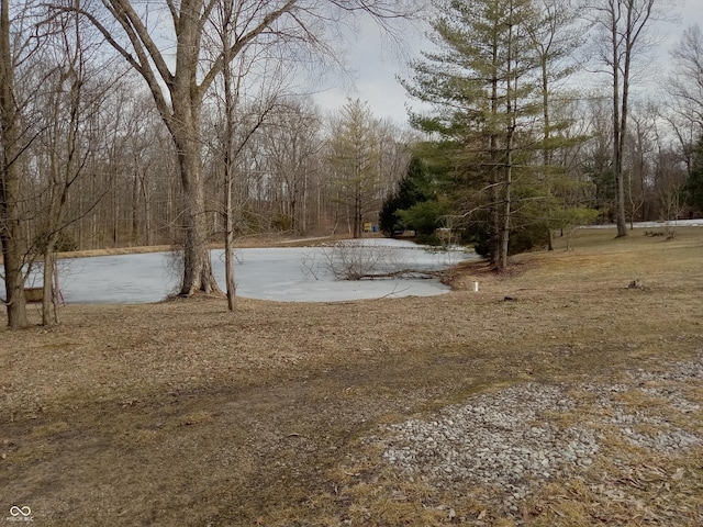 view of yard with a wooded view