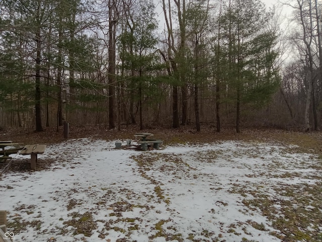 view of yard layered in snow