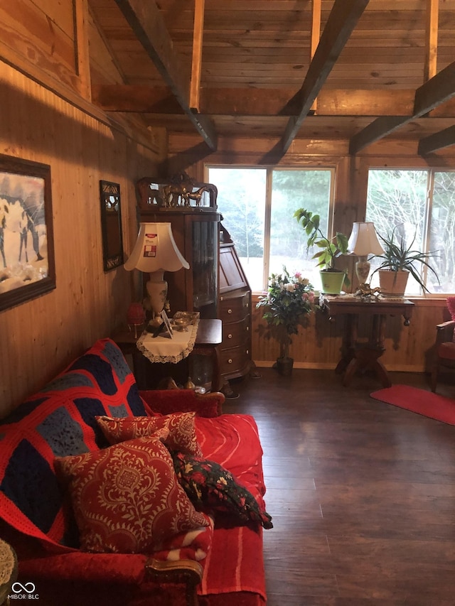 4005 Texas Pike, Spencer, IN 47460 - living area featuring wooden walls, plenty of natural light, dark wood-style flooring, and wood ceiling