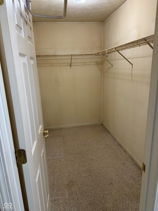 spacious closet with carpet