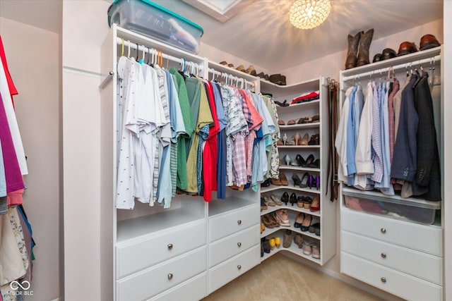 spacious closet featuring a skylight and carpet