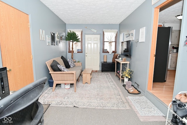 living area featuring carpet floors and a textured ceiling