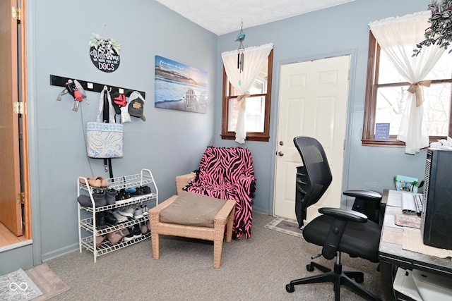 view of carpeted home office