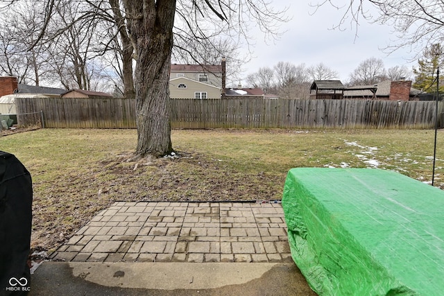 view of yard featuring a fenced backyard and a patio