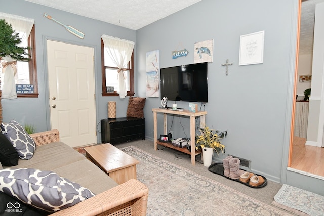 living room featuring a textured ceiling, carpet, and baseboards