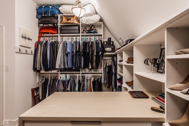 view of spacious closet