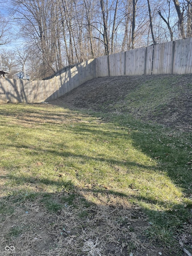 view of yard featuring a fenced backyard