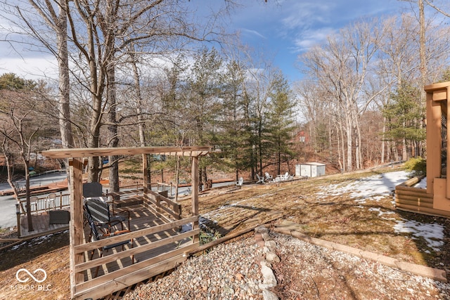 view of yard with a shed and an outdoor structure