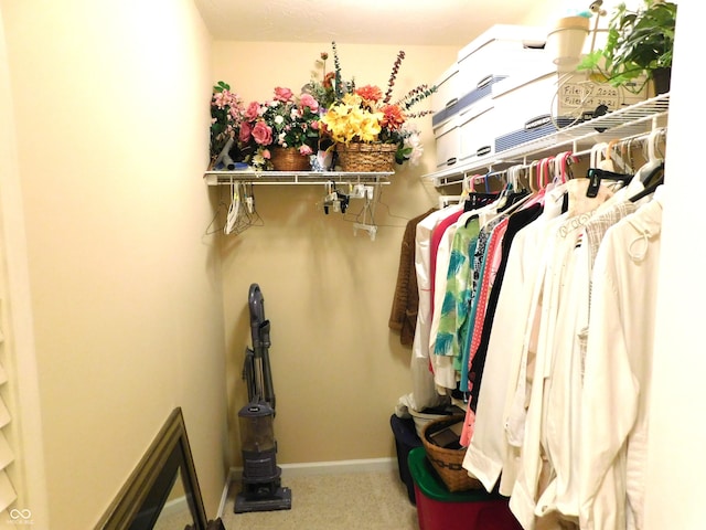 view of spacious closet