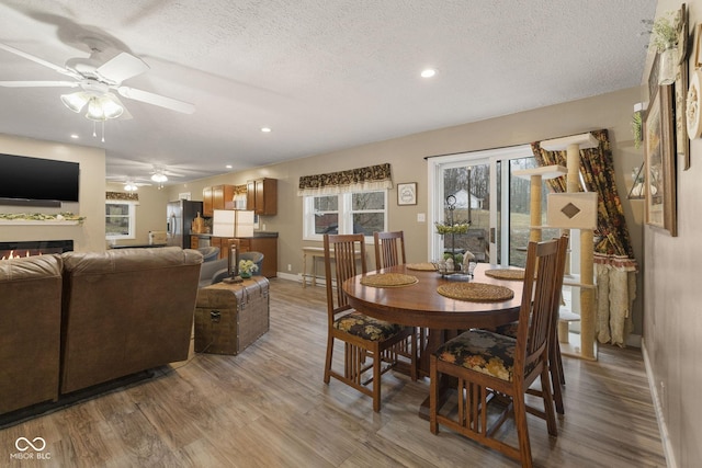 dining room with a textured ceiling, a lit fireplace, light wood-style flooring, and a ceiling fan