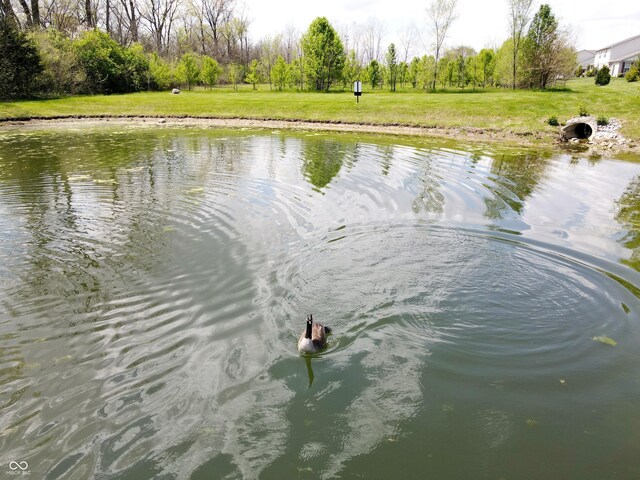 1223 Blackthorne Trl S, Plainfield, IN 46168 - photo 6