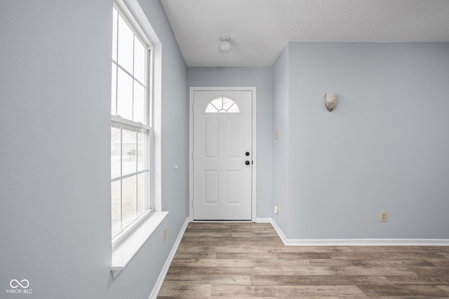 foyer with a healthy amount of sunlight, baseboards, and wood finished floors