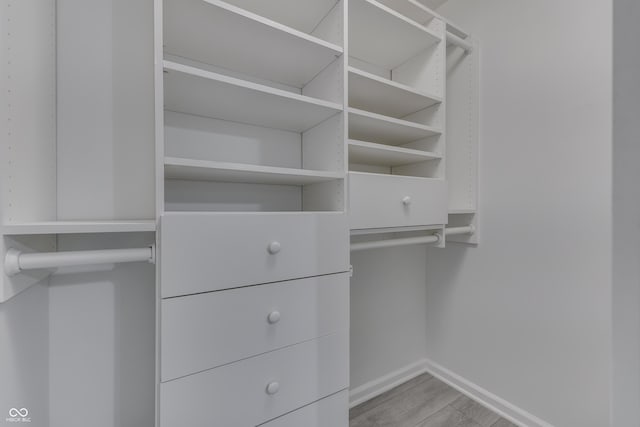 spacious closet featuring light wood finished floors